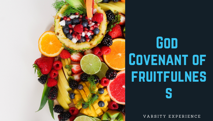 God’s Covenant Of Fruitfulness